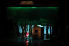 scénographie de Le Petit Chaperon Rouge, La chaumière - Scène 2, Tableau 2